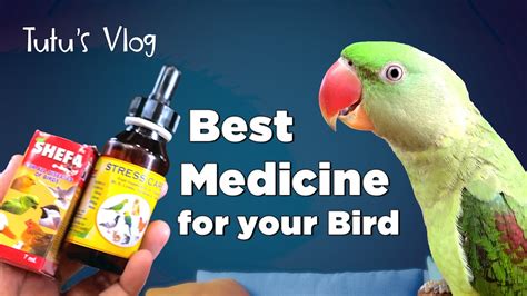 medication for birds